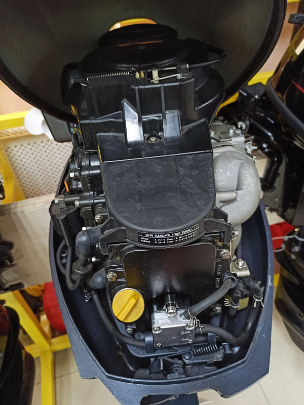 Лодочный мотор BREEZE F9,9S (4х тактный) в Липецке