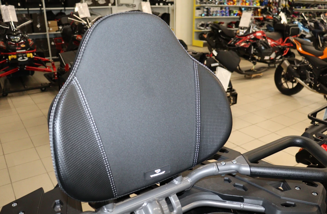 Квадроцикл PROMAX RENEGADE 300 LONG WINCH PRO в Липецке