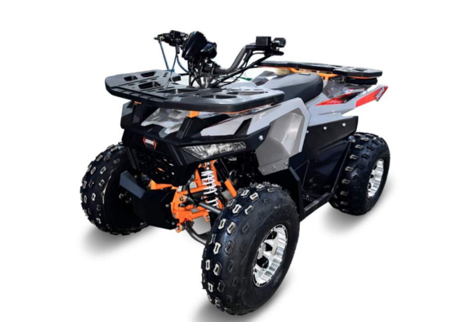 Квадроцикл GBM DAXTER 220 NEW PREMIUM в Липецке