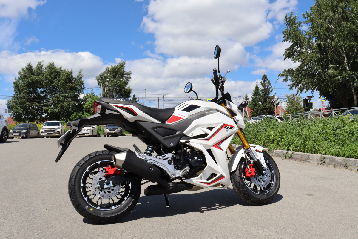 Мотоцикл PROMAX STRYKER 200(49) 2.0 в Липецке
