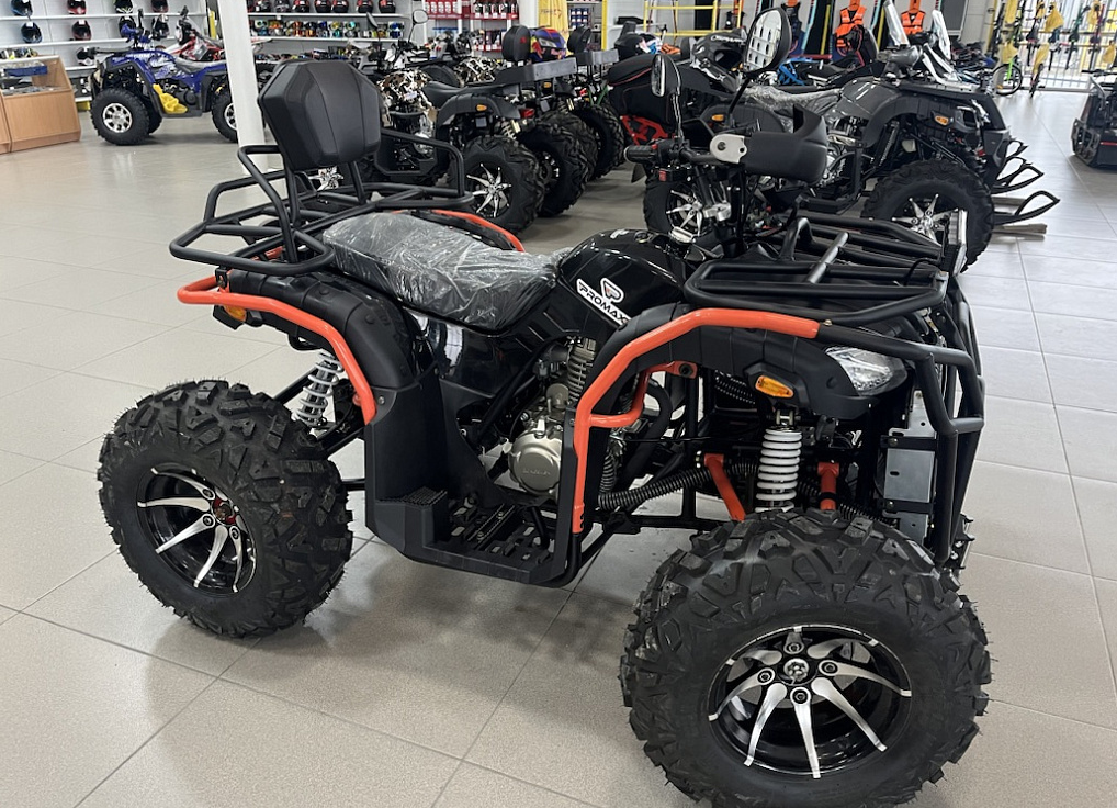 Квадроцикл PROMAX 300 4X4 ALL ROAD в Липецке