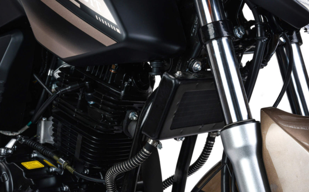 Мотоцикл MOTOLAND (МОТОЛЕНД) 300 BANDIT в Липецке