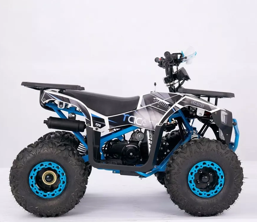 Квадроцикл YACOTA SIRIUS 110 в Липецке