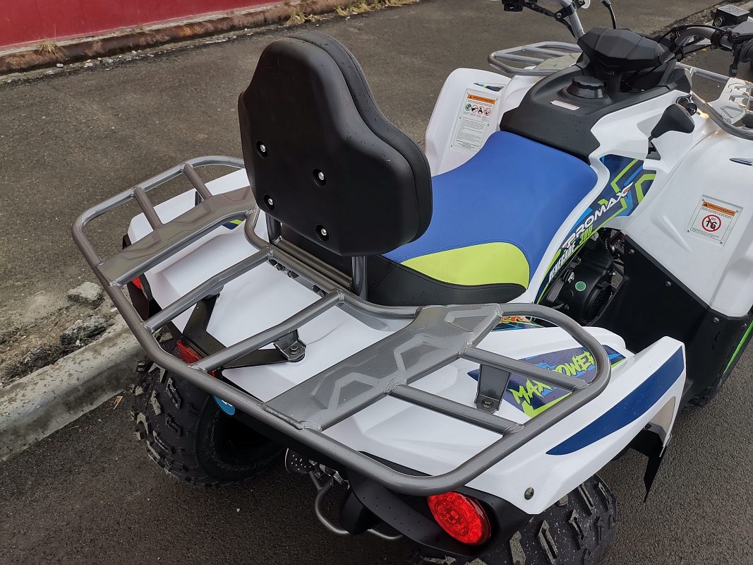 Квадроцикл PROMAX RENEGADE 280 LUX в Липецке