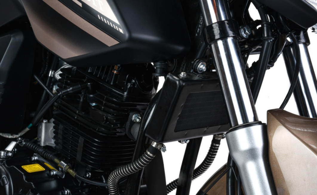 Мотоцикл MOTOLAND (МОТОЛЕНД) 300 BANDIT в Липецке