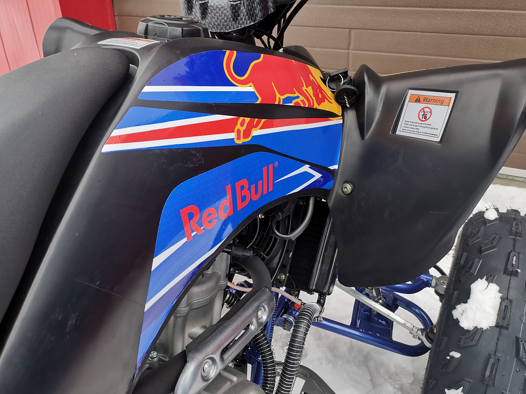 Квадроцикл PROMAX RAPTOR 300 NEW RedBull в Липецке