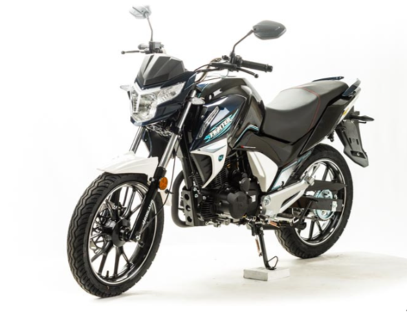 Мотоцикл MOTOLAND (МОТОЛЕНД) FIGHTER 250 в Липецке