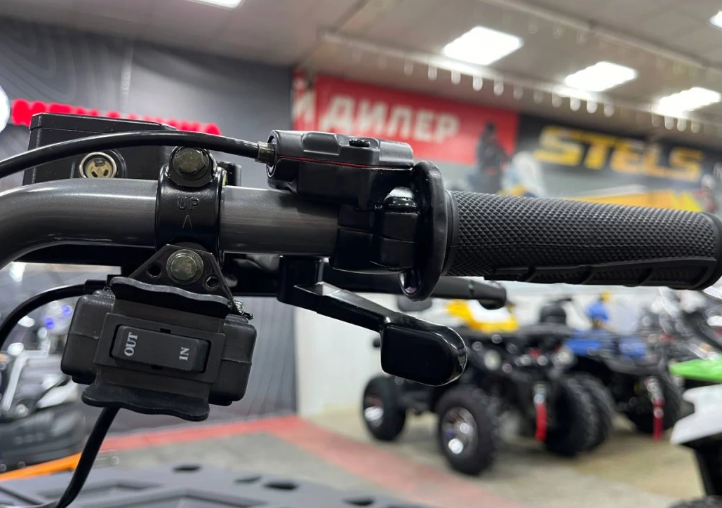 Квадроцикл PROMAX RENEGADE 300 LONG WINCH PRO в Липецке