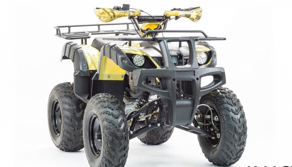 Квадроцикл MOTOLAND (МОТОЛЕНД) 250 ADVENTURE в Липецке