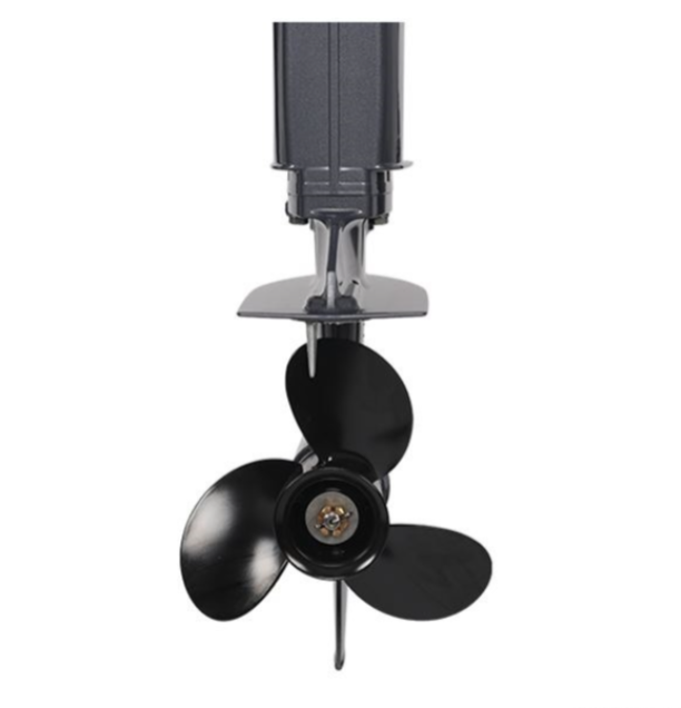 Лодочный мотор ALLFA CG Т40FW S в Липецке