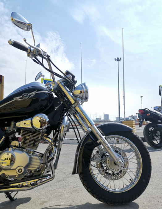 Мотоцикл MOTOLAND (МОТОЛЕНД) WOLF 250 в Липецке