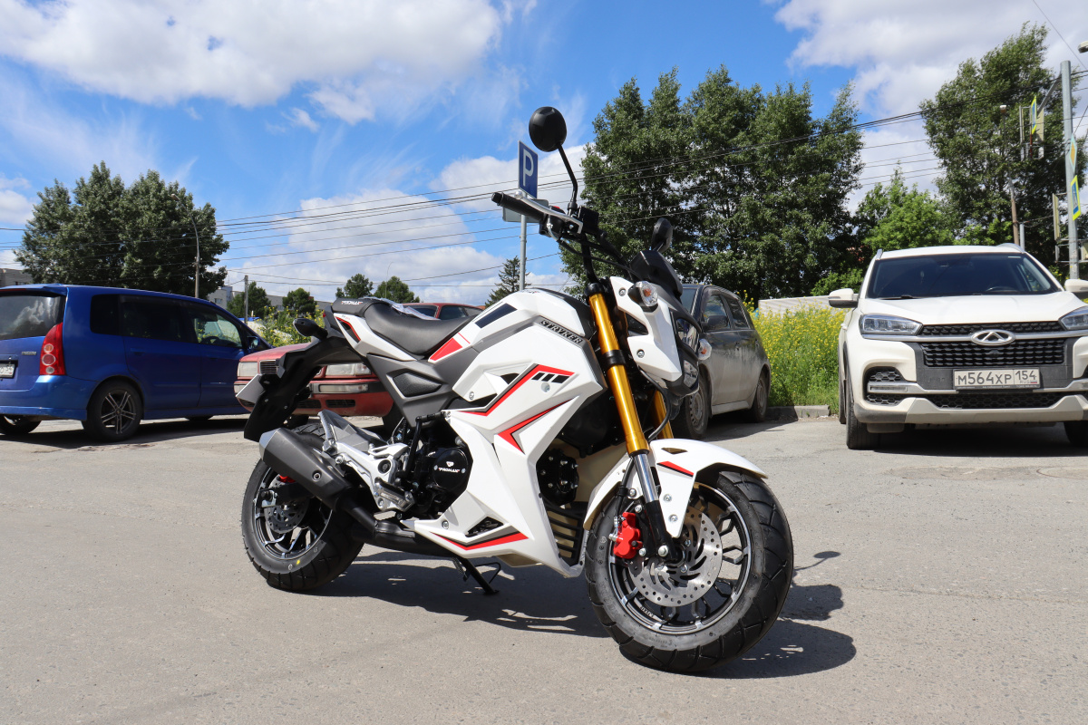 Мотоцикл PROMAX STRYKER 200(49) 2.0 в Липецке