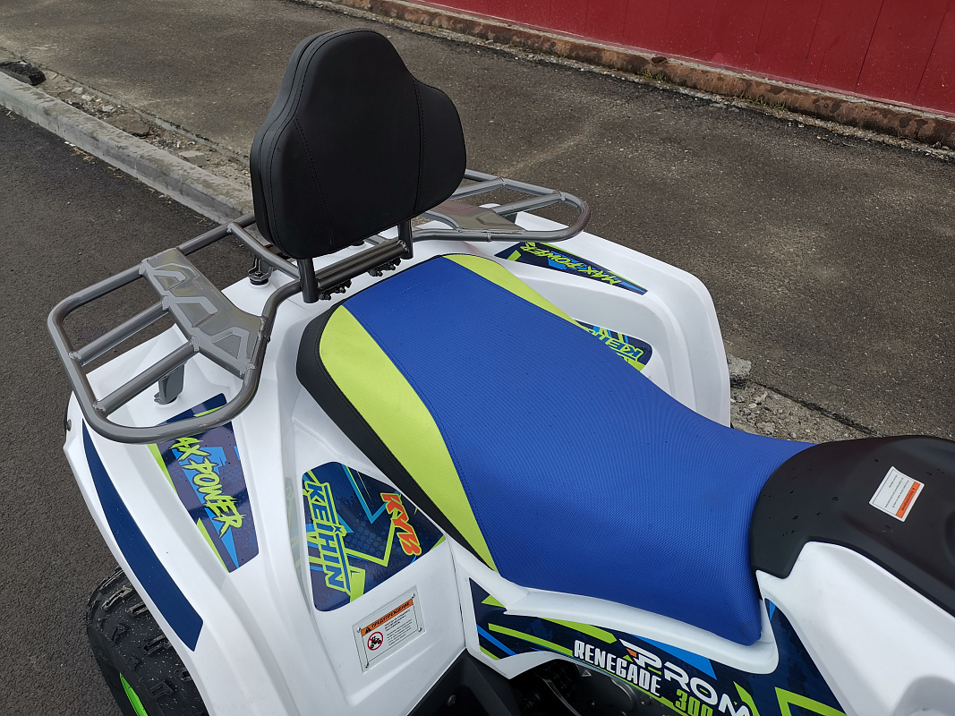 Квадроцикл PROMAX RENEGADE 280 LUX в Липецке
