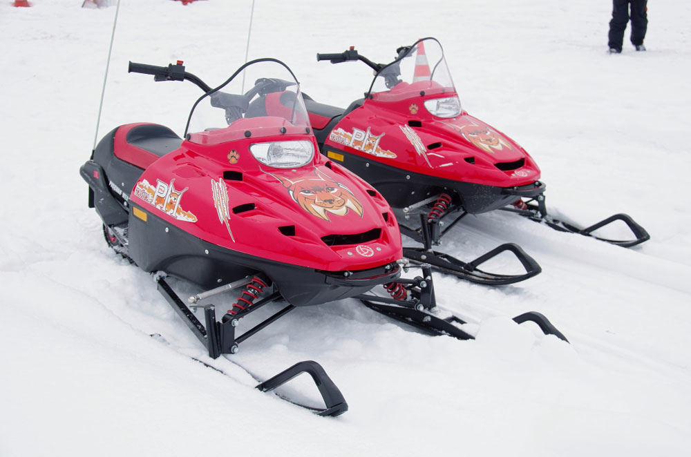 Снегоход Русская механика РМ ТАЙГА РЫСЬ в Липецке