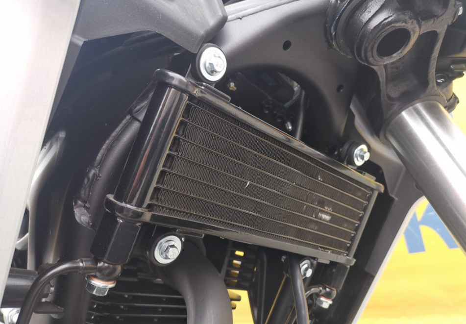 Мотоцикл MOTOLAND (МОТОЛЕНД) 250 CB250 (172FMM-5/PR250) (2022 г.) в Липецке