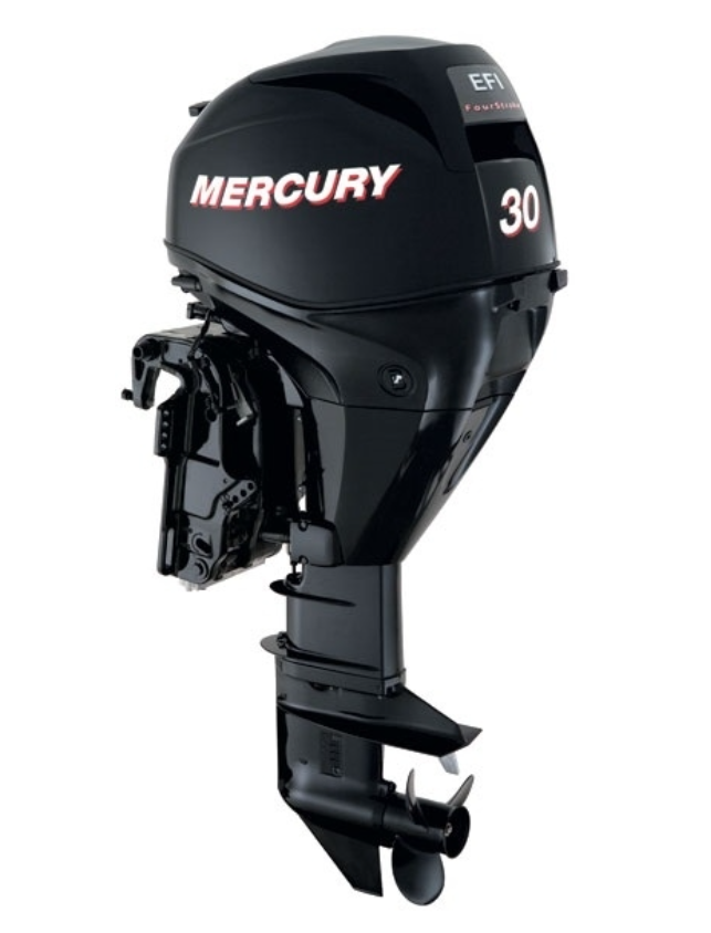 ЛОДОЧНЫЙ МОТОР MERCURY  F 30 ELH GA EFI в Липецке