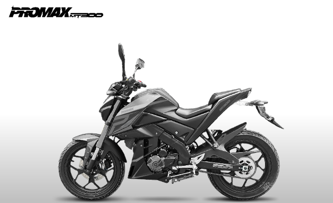 Мотоцикл PROMAX MT300 в Липецке