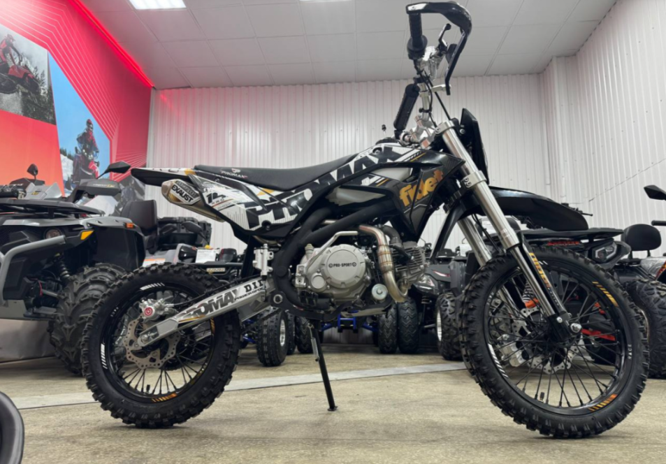 Мотоцикл (питбайк) PROMAX FIDET (ФАЙДЕТ) 145E PRO 17/14 в Липецке