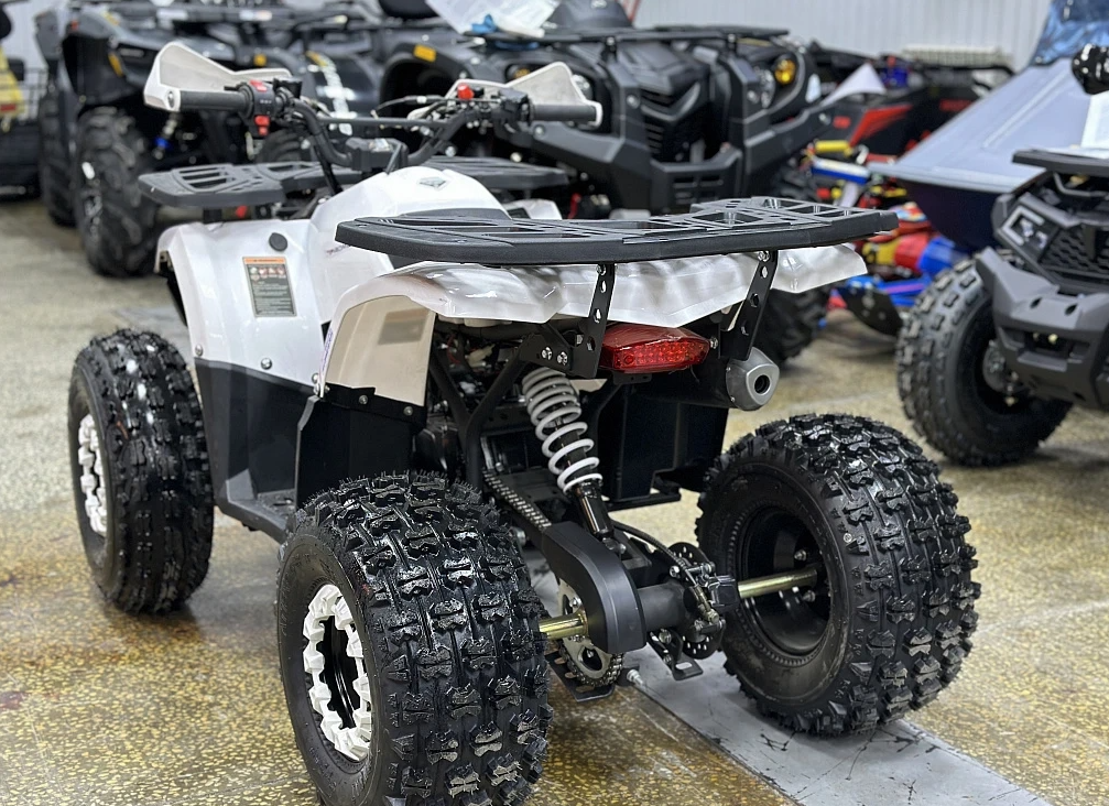 Квадроцикл PROMAX WILD 2.0 190 в Липецке