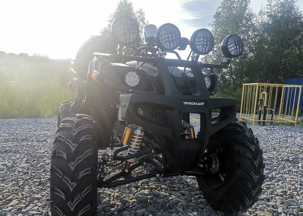 Квадроцикл PROMAX LEO 300 Max (кардан) в Липецке