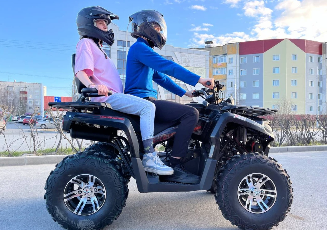 Квадроцикл PROMAX RENEGADE 300 LONG WINCH PRO в Липецке