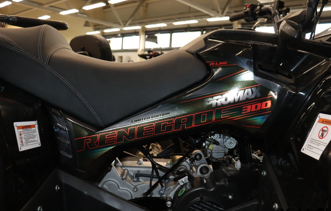 Квадроцикл PROMAX RENEGADE 300 LONG WINCH PRO в Липецке