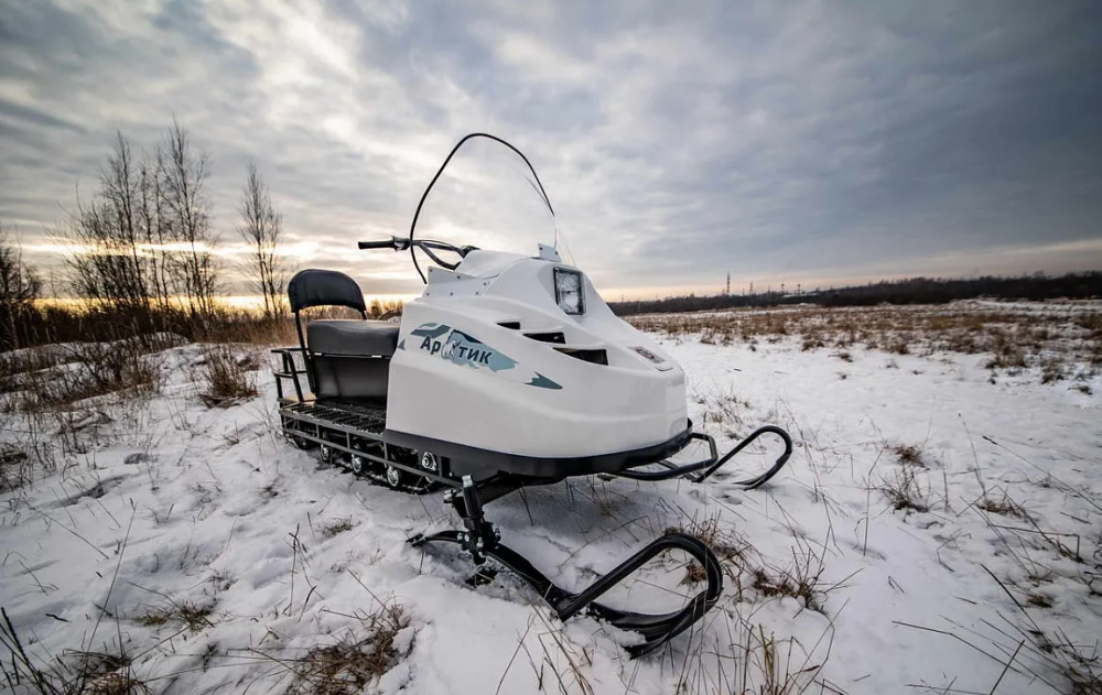 Снегоход БТС АРТИК 4Т /ЛОНГ/ 20 л.с. э/зап, реверс, тормоз в Липецке