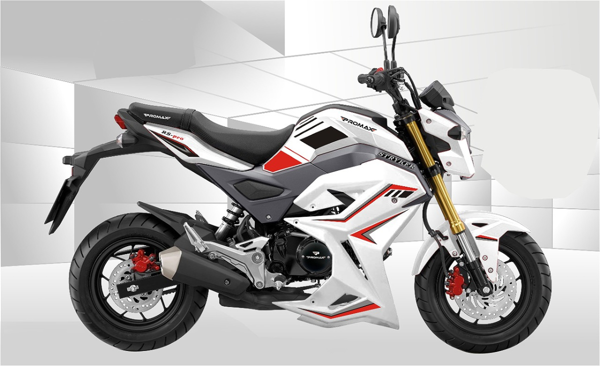 Мотоцикл PROMAX STRYKER 200(49) 2.0 в Липецке