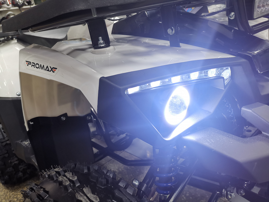 Квадроцикл PROMAX WILD 175 LUX в Липецке