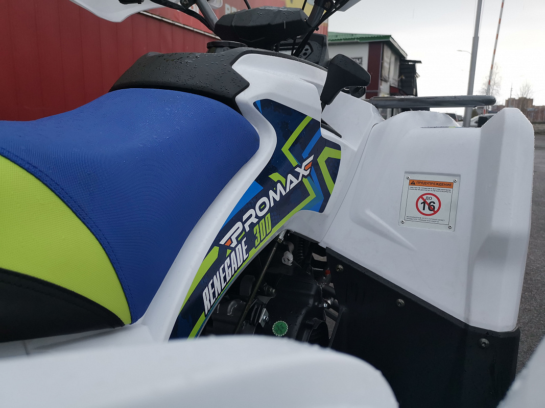 Квадроцикл PROMAX RENEGADE 280 LUX в Липецке