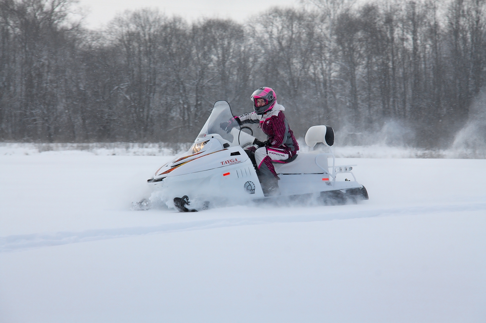 Снегоход Русская механика РМ TAYGA PATRUL 551 SWT в Липецке