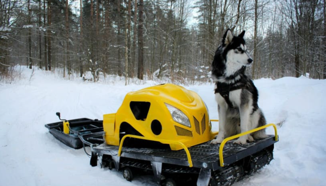 Мотобуксировщик LEBEDEV MOTORS ВОЛКОДАВ POWER V13 в Липецке