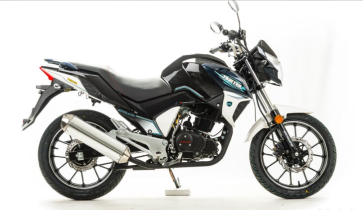 Мотоцикл MOTOLAND (МОТОЛЕНД) FIGHTER 250 в Липецке