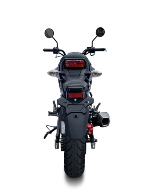 Мотоцикл PROMAX STRYKER 200(49) в Липецке