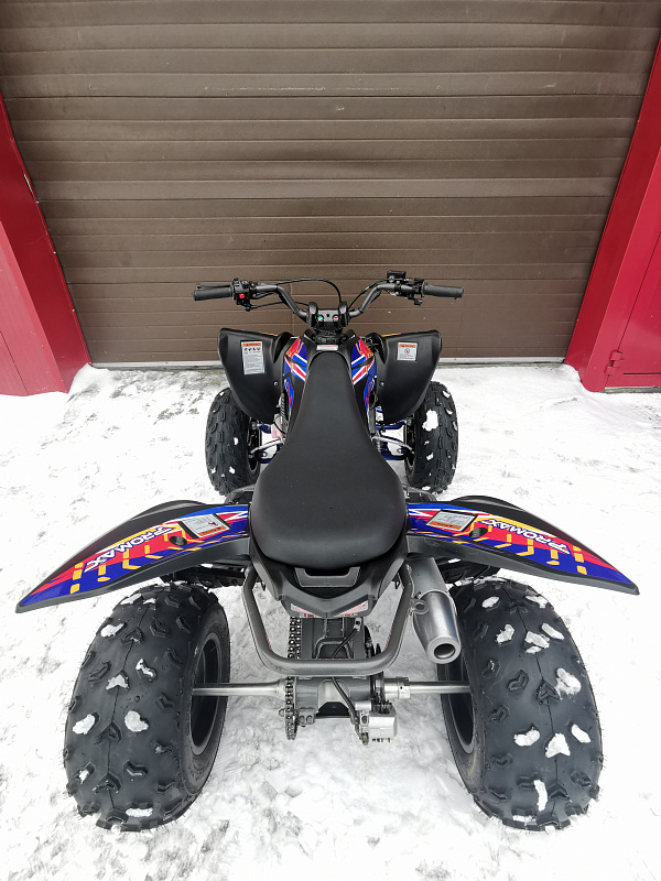 Квадроцикл PROMAX RAPTOR 300 NEW RedBull в Липецке