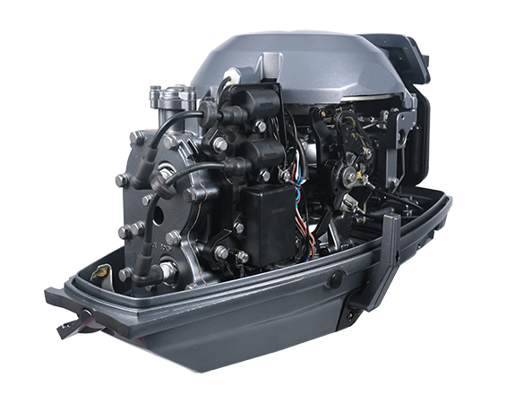 ЛОДОЧНЫЙ МОТОР ALLFA CG T30 FW S в Липецке