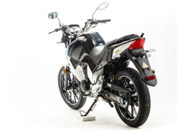 Мотоцикл MOTOLAND (МОТОЛЕНД) FIGHTER 250 в Липецке