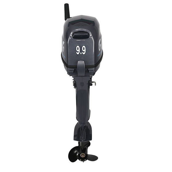 Лодочный мотор ALLFA CG Т9.9(20)MAX в Липецке