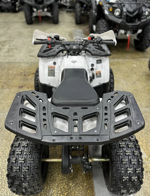 Квадроцикл PROMAX WILD 2.0 190 в Липецке