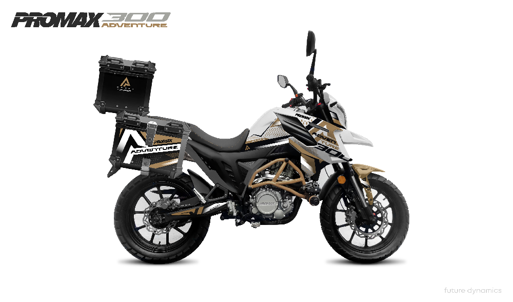 Мотоцикл PROMAX ADVENTURE 300 PRO EFI (NB300) в Липецке