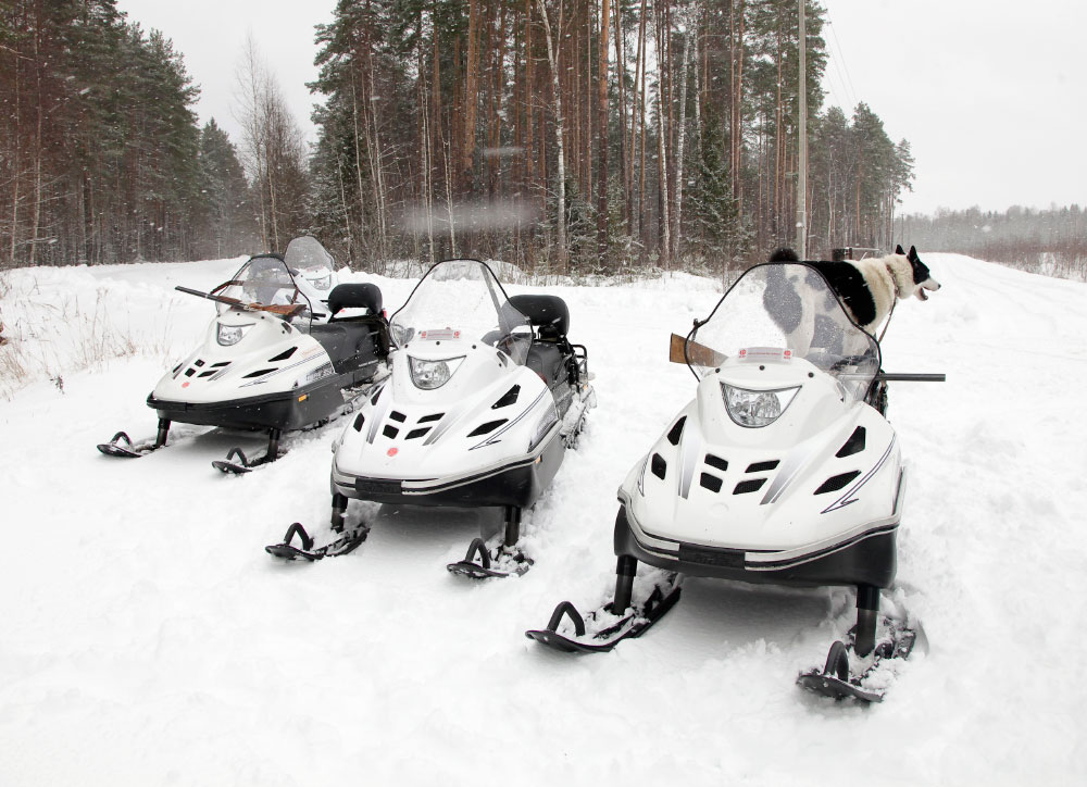 Снегоход Русская механика РМ ТАЙГА ВАРЯГ 550 V в Липецке