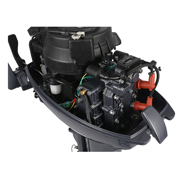 ЛОДОЧНЫЙ МОТОР ALLFA CG Т9,9 в Липецке