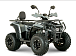 Квадроцикл YACOTA DRAGON LUX LD 150 PRO-SPORT в Липецке