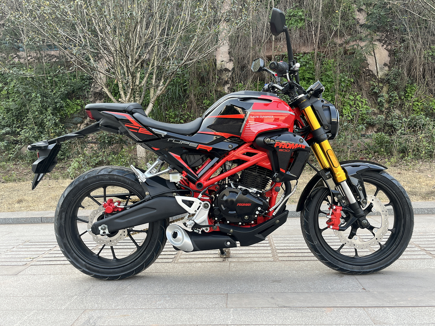 Мотоцикл PROMAX CB300 в Липецке