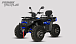 Квадроцикл PROMAX TAURUS 300 MAX-PRO LONG в Липецке