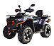 Квадроцикл MOTOLAND (МОТОЛЕНД) 300 MAX X в Липецке