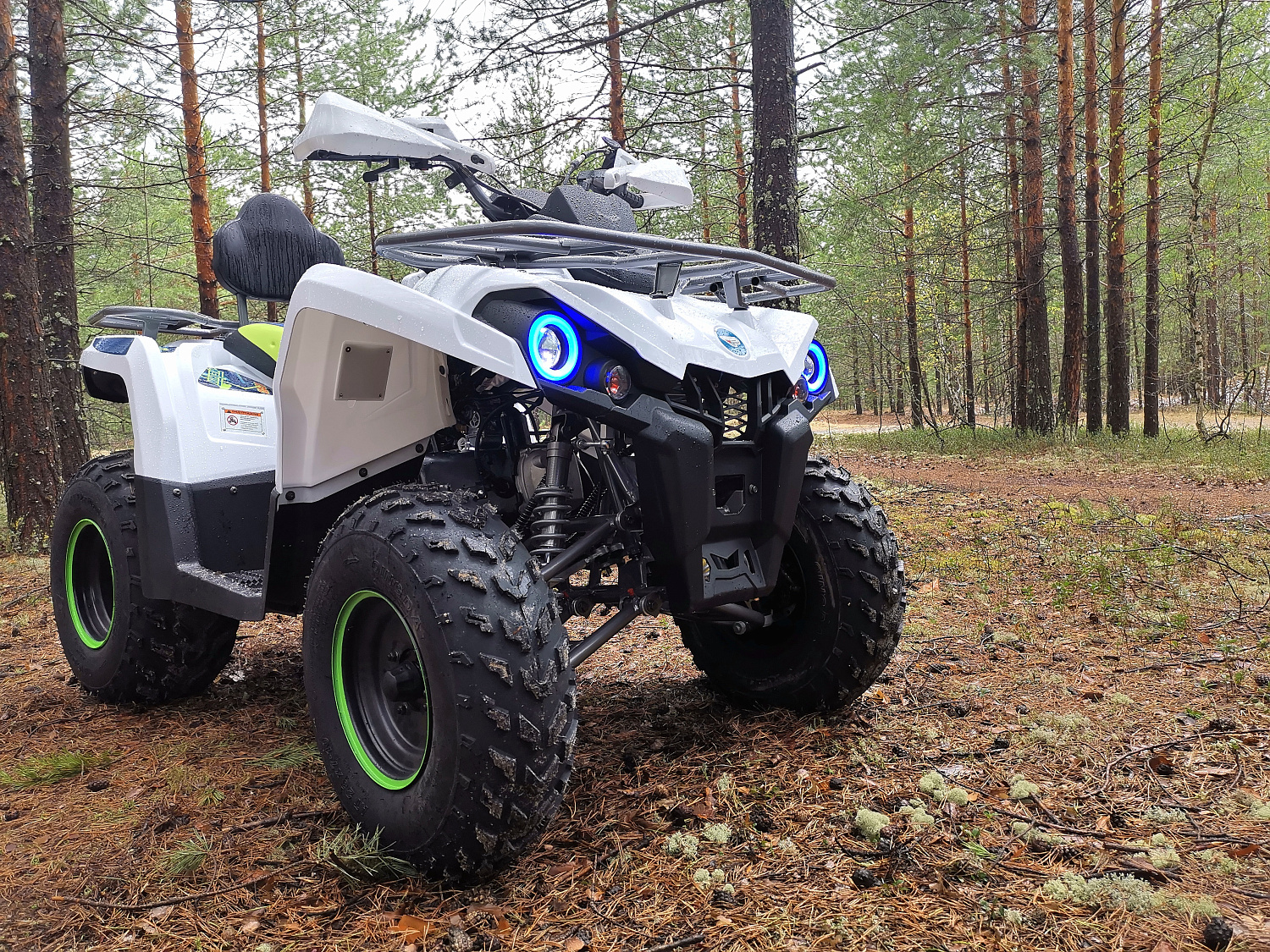 Квадроцикл PROMAX RENEGADE 280 в Липецке