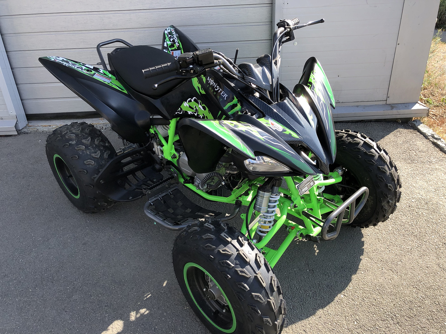 Квадроцикл PROMAX RAPTOR 300 NEW Monster в Липецке