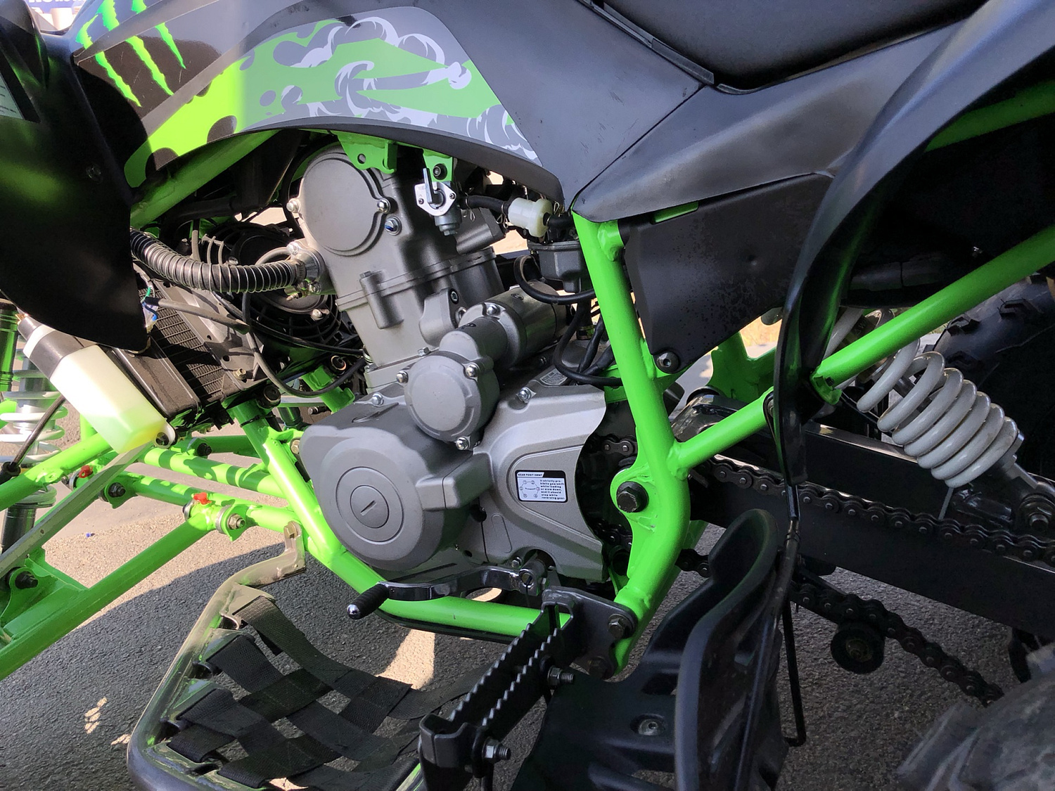 Квадроцикл PROMAX RAPTOR 300 NEW Monster в Липецке