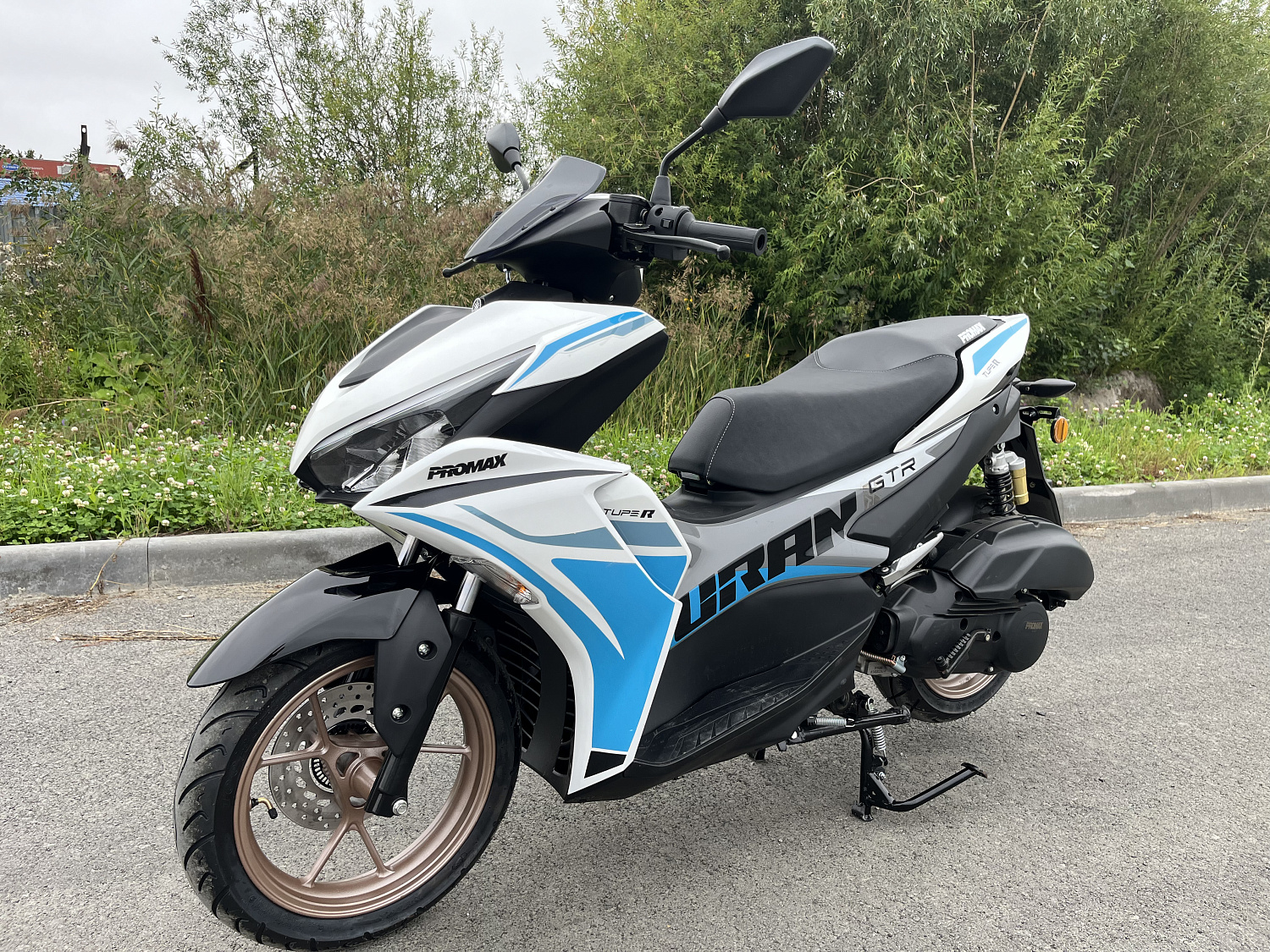 Скутер PROMAX TURAN 250 (49) в Липецке